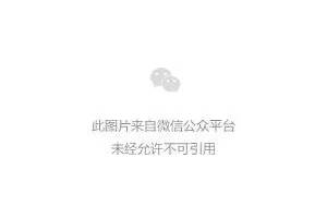篮球封闭式训练营名字