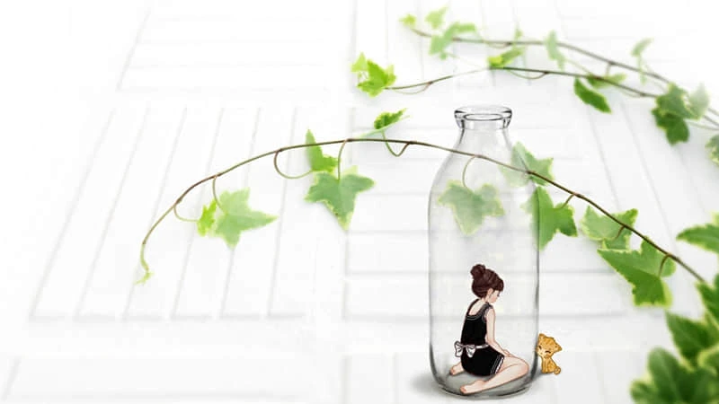 青少年学生篮球训练营发言稿_2